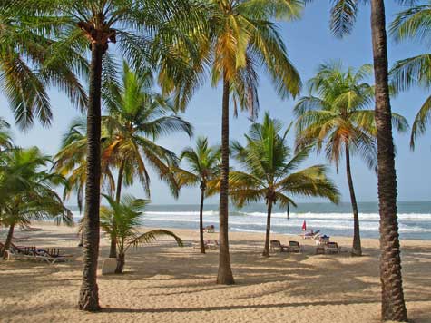 Plage cocotiers